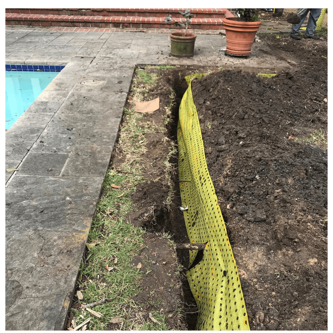 A person standing under a large sprawling tree with thick, twisted branches and green leaves, sunlight filtering through the canopy.