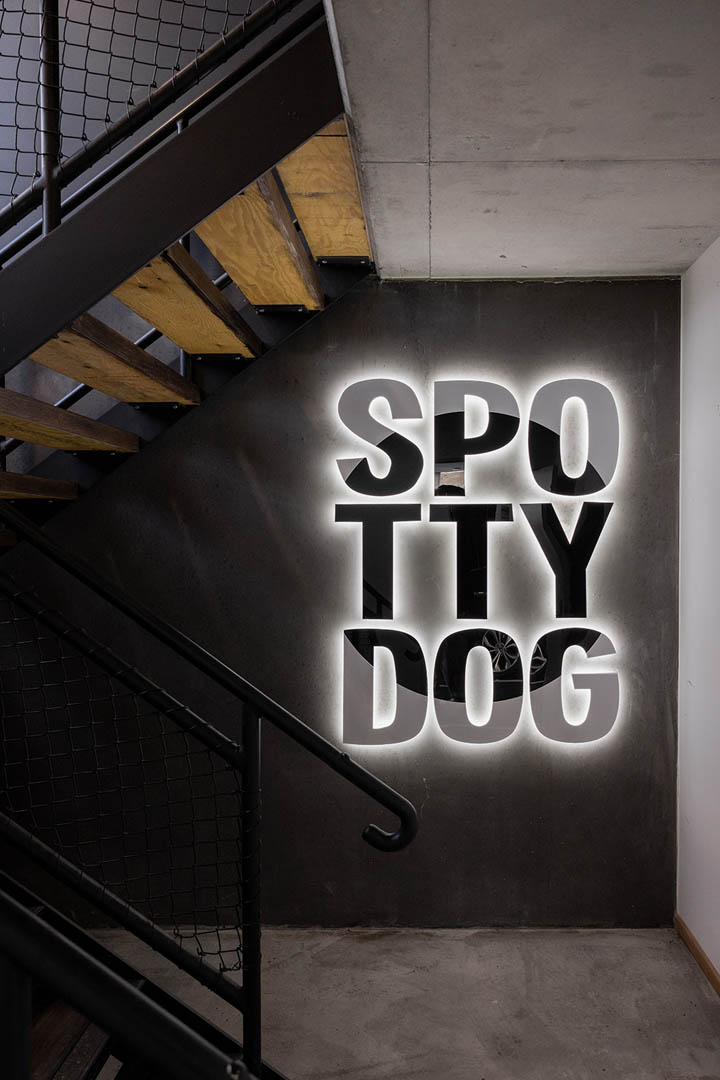 Spotty Dog