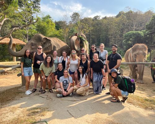 Elephant Sanctiary