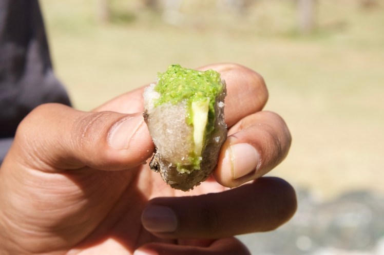 cheese_stuffed_potato_and_salsa