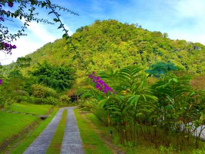 rancho margot la fortuna costa rica travel guide under30experiences