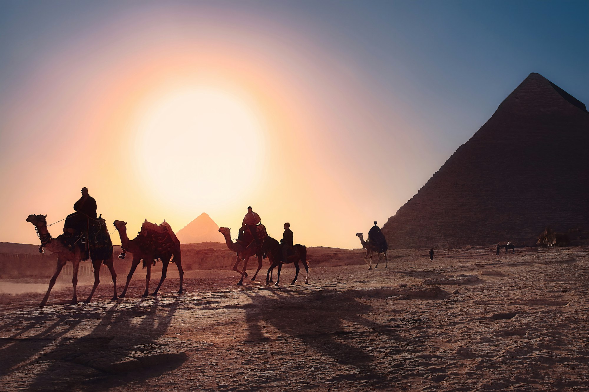 Africa & Middle East