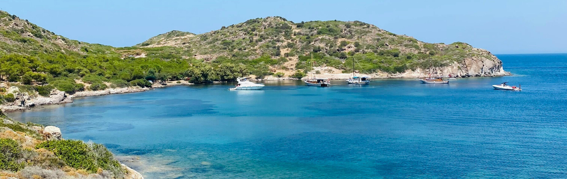 Panoramic view of green plants and blue sea waters looking out across the horizon of a gorgeous coastline in Evia, Greece