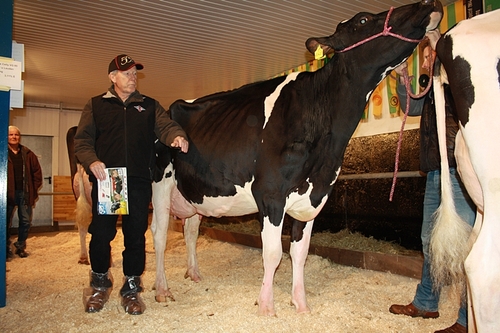 ... auf den hervorragend präsentierten Betrieb und zu den Kühen von Andreas Lohmöller und Familie.