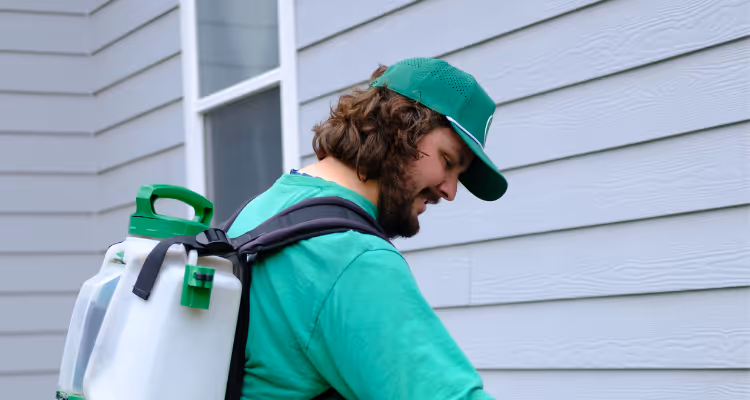 Crosstown technician removing hobo spider webs in a Post Falls home.