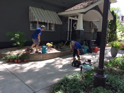 Yard Assessments & Recommendations Photo