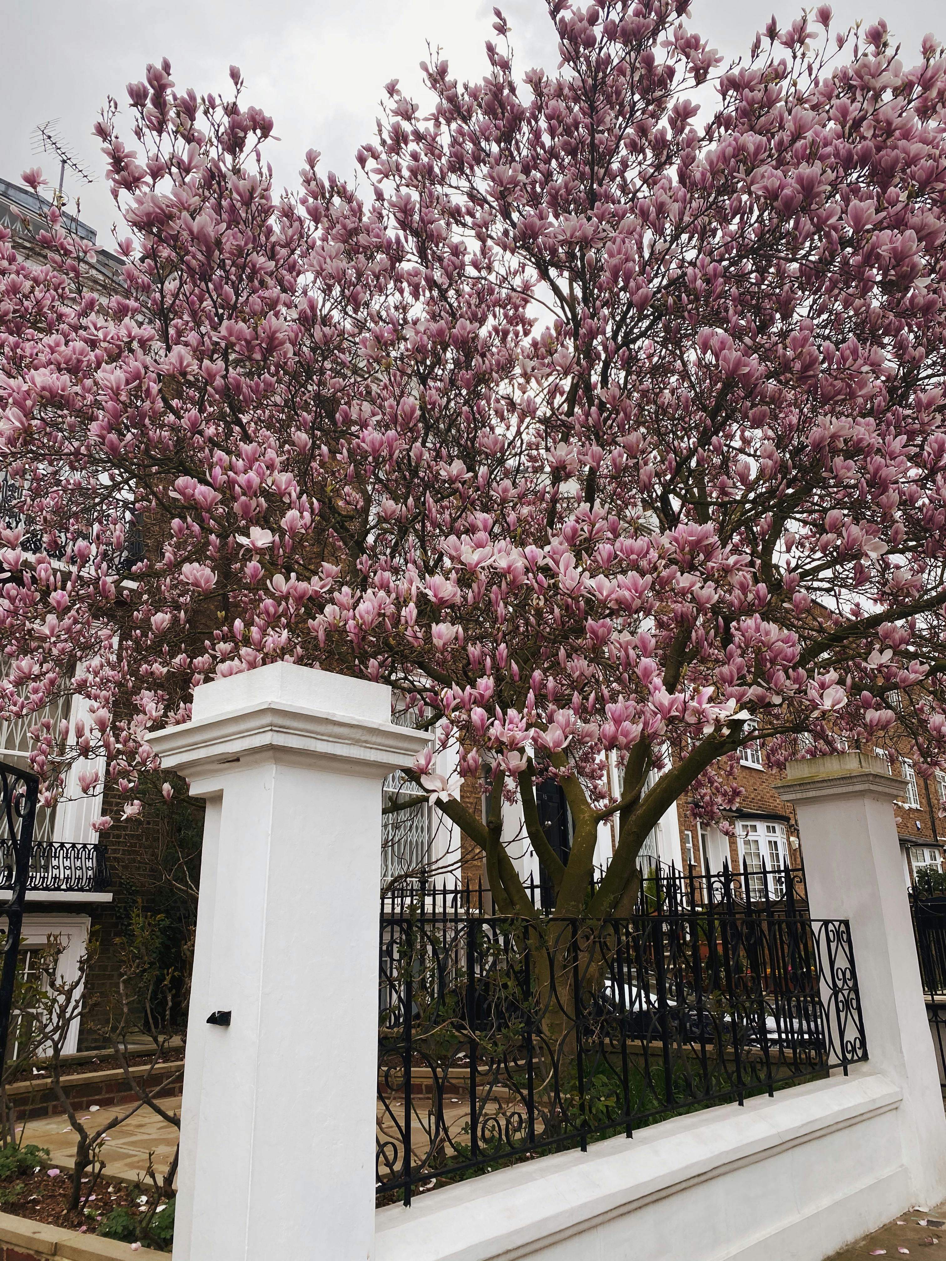 Early Spring Planning: Supporting Students, Strengthening Supply, and Preparing for Market Change
