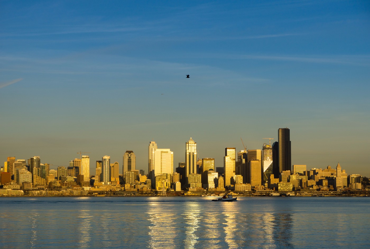 Seattle downtown skyline at golden hour viewed across Elliott Bay with a tugboat on the water and a lone bird in the sky