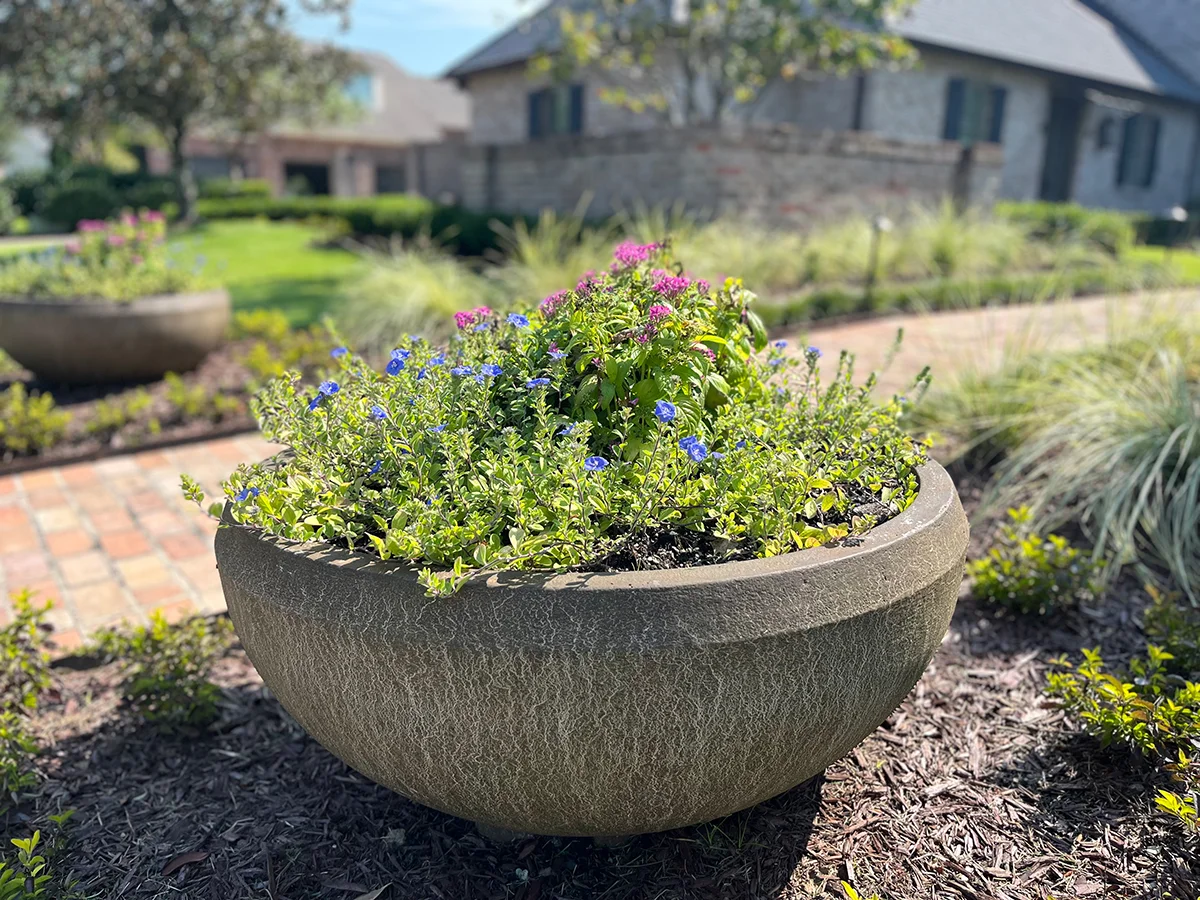 A flower pot placed on a brick walkway, surrounded by greenery and sunlight.