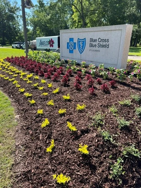 Industrial + Commercial