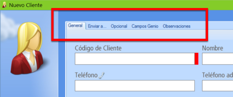 El registro de un cliente se organiza en pestañas con campos para completar datos