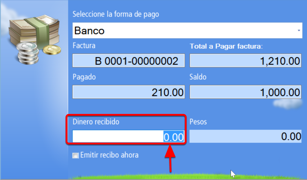 Ingreso de pago