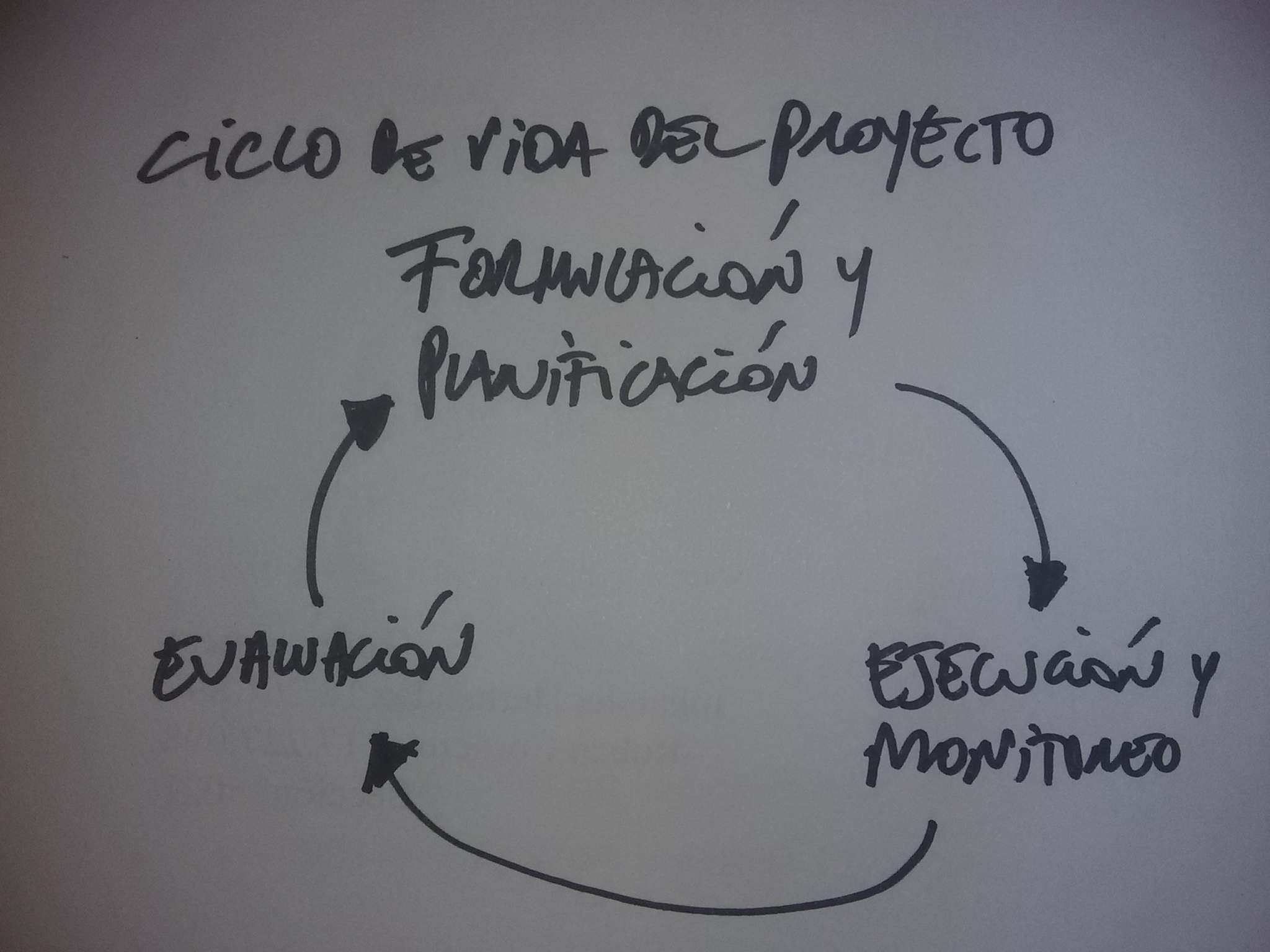 Es la forma de administrar racional y organizadamente todos los procesos que conducen a alcanzar unos objetivos. Tales procesos incluyen la formulación y planificación, la ejecución, y el control o evaluación. Su desarrollo es gradual y sistemático, hasta llegar a su fin una vez alcanzados los objetivos. Esto resulta útil para dar solución a problemas planteados de antemano, o iniciar emprendimientos.