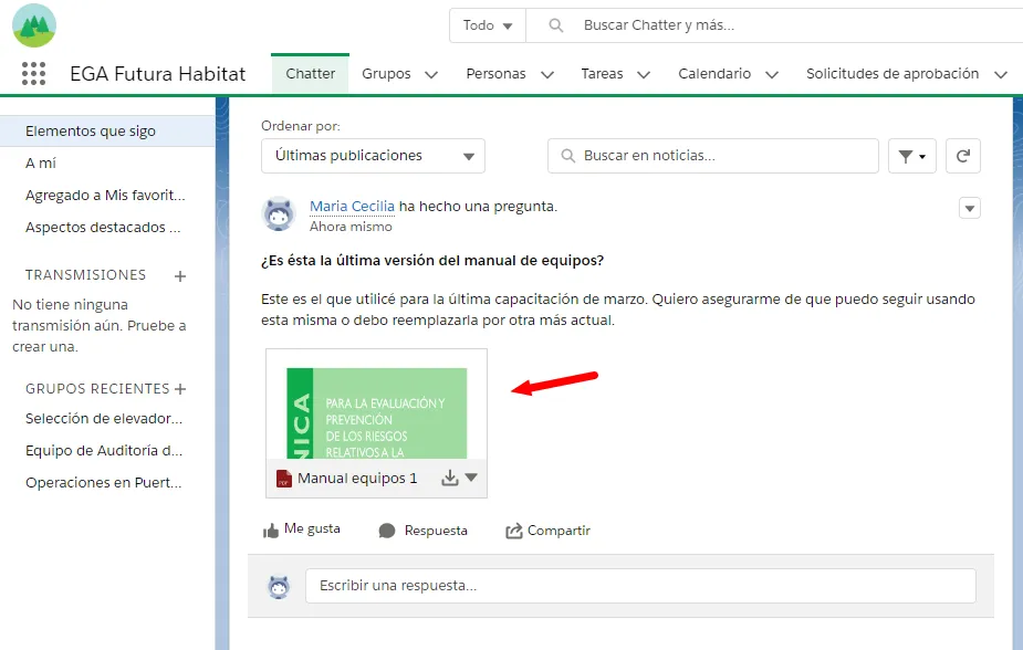 Así luce un archivo adjunto a una publicación de Chatter