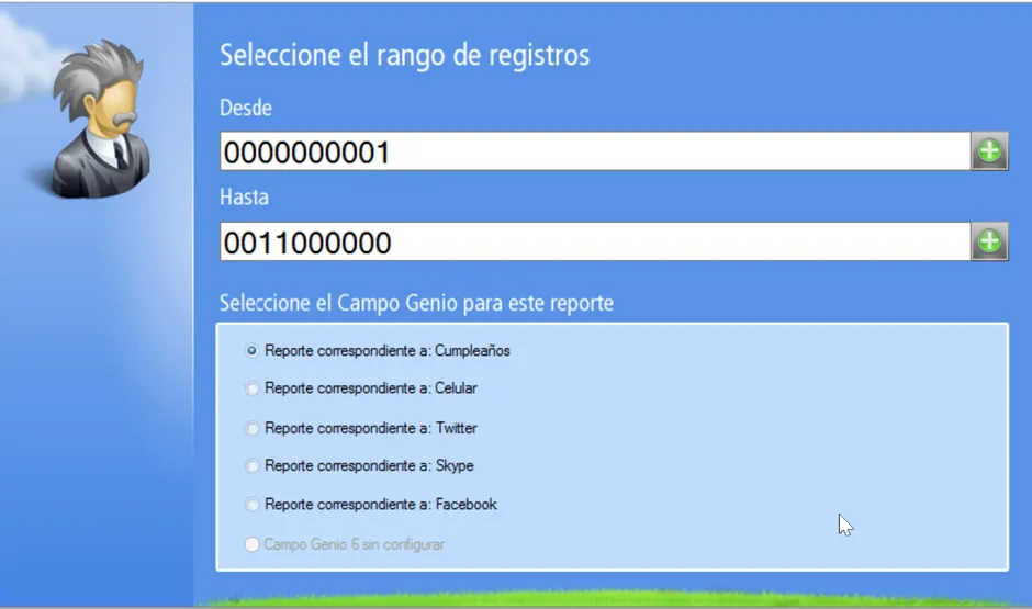 Establece los parametros del reporte