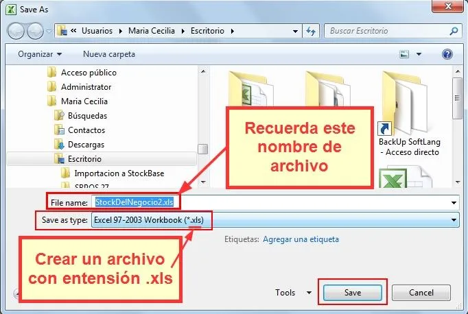 Guarda el archivo creado desde el programa Excel con extensión .xls