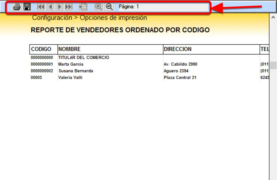 La Barra de iconos de la Ventana de Vista Previa permite recorrer el documento, guardarlo o imprimirlo