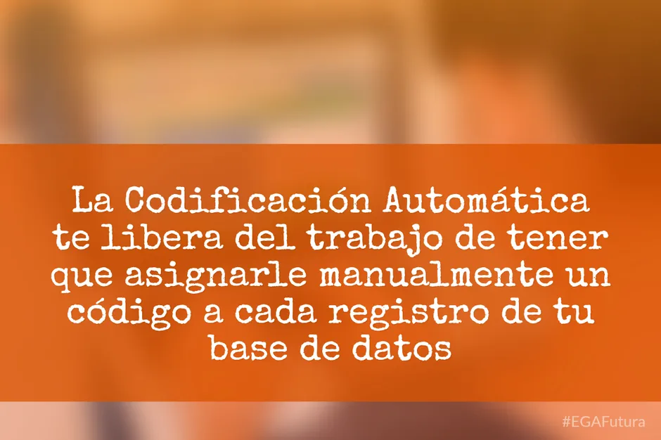 La Codificación Automática te libera del trabajo de tener que asignarle manualmente un código a cada registro de tu base de datos