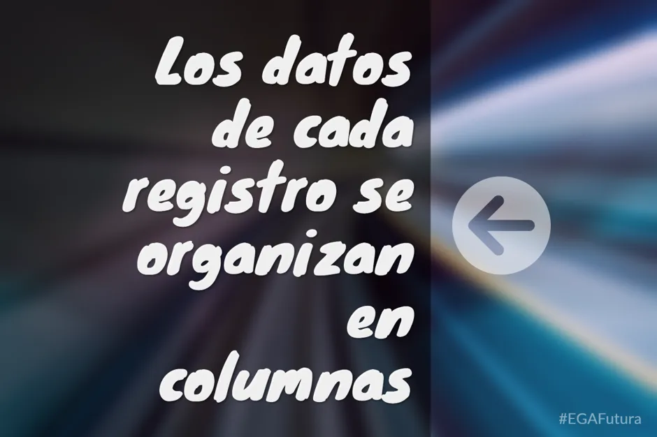 Los datos de cada registro se organizan en columnas