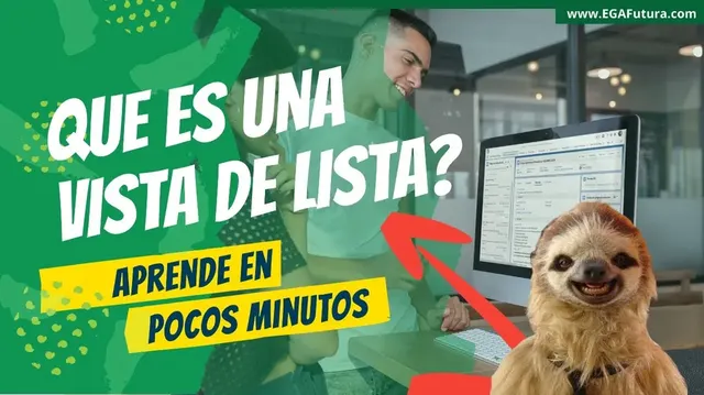 Cómo trabajar con vistas de lista y filtros?