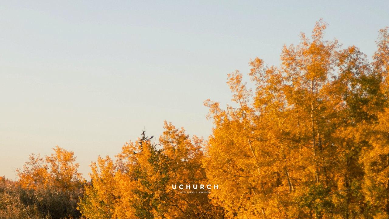 Same family, new spot and time for this Sunday - Brant's place at 5 PM. See you there!