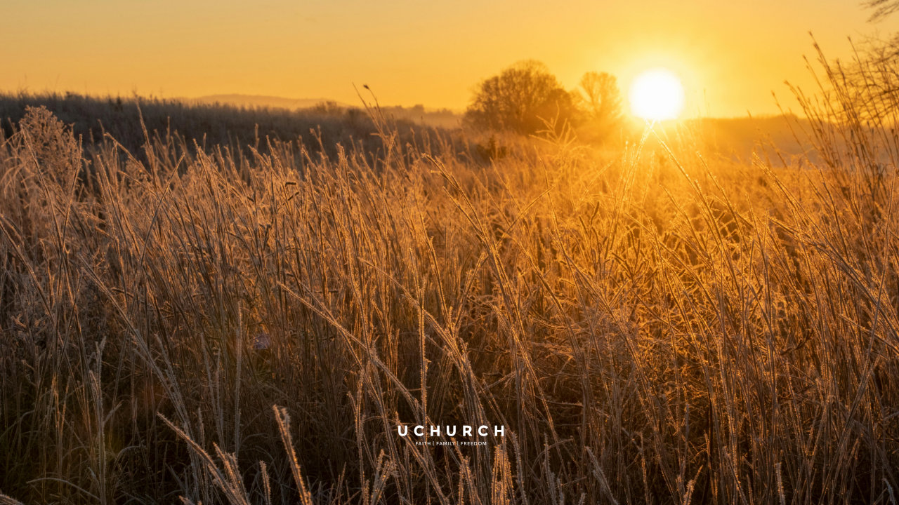 What We Heard. Fasting week review on Sunday @ 9:30 AM