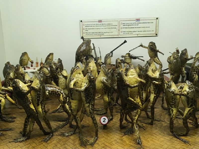 Frog museum in Split