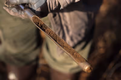 Add lime to your lawn to reduce pH levels