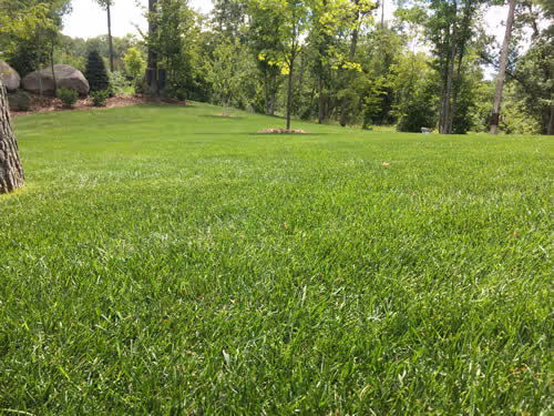 Weed control gull lake