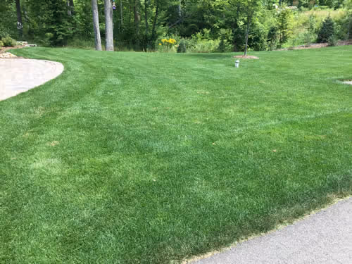 Lawn fertilizer brainerd lakes area