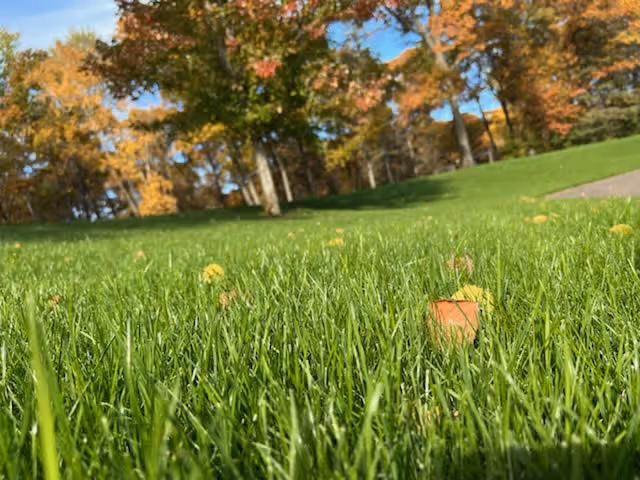 Gull Lake lawn fertilizing