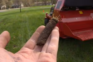 Brainerd lawn aerating service