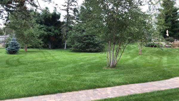 Brainerd lawn aerating service