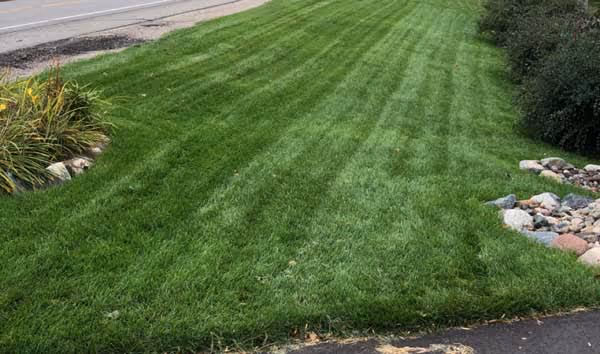 Brainerd lawn aerating service