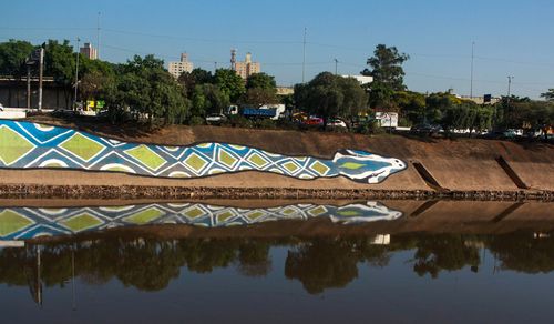 Cobra azul, palavras que salvam de eduardo srur na marginal tietê