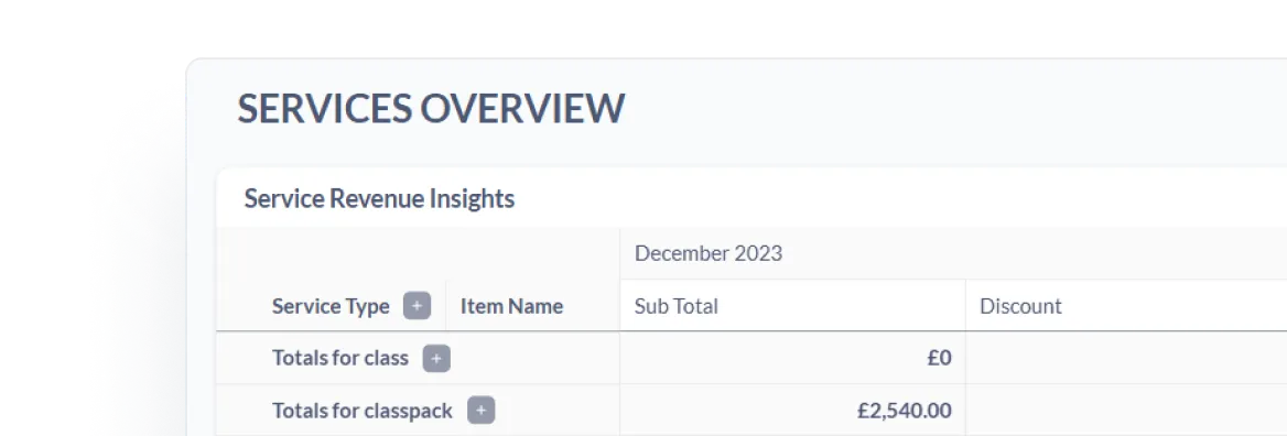Track revenue by service and month with clear insights and visual charts.
