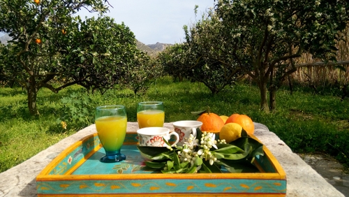 Georgilas Cave House - A Greek Island Pink Hotel