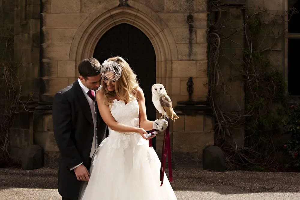 Owl at a wedding on brides hand