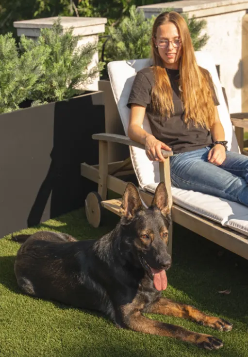 Trained Personal Protection Dogs For Sale