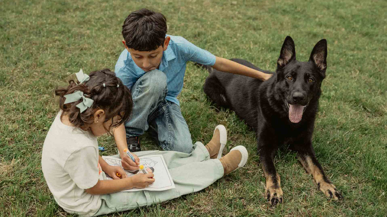 where to buy a protection dog