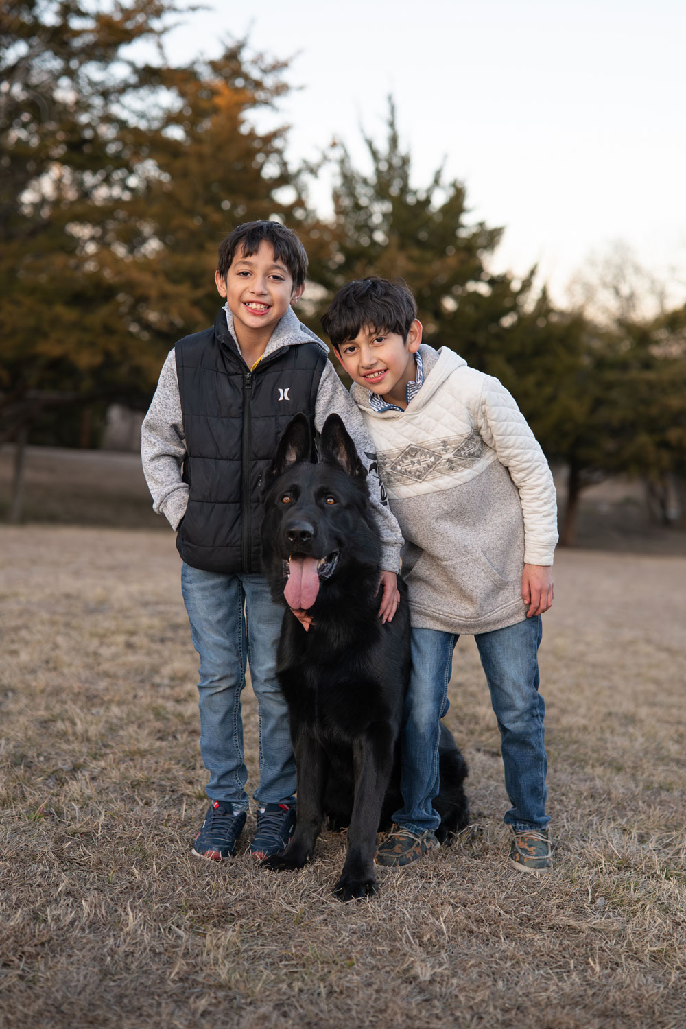Best Dogs For Protection