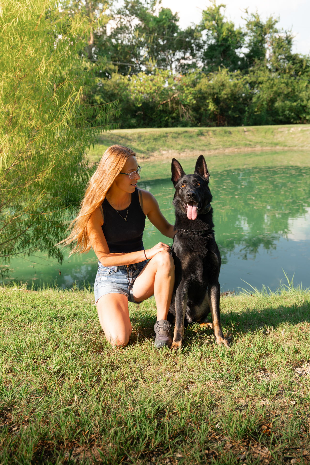 Best Dogs For Protection