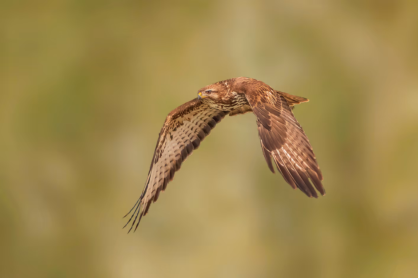 עקב חורף בתעופה