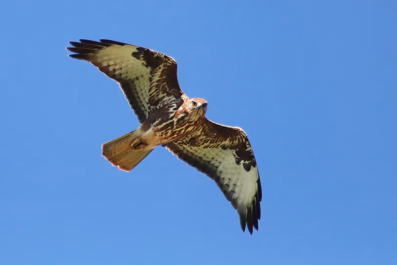 עקב חורף בתעופה