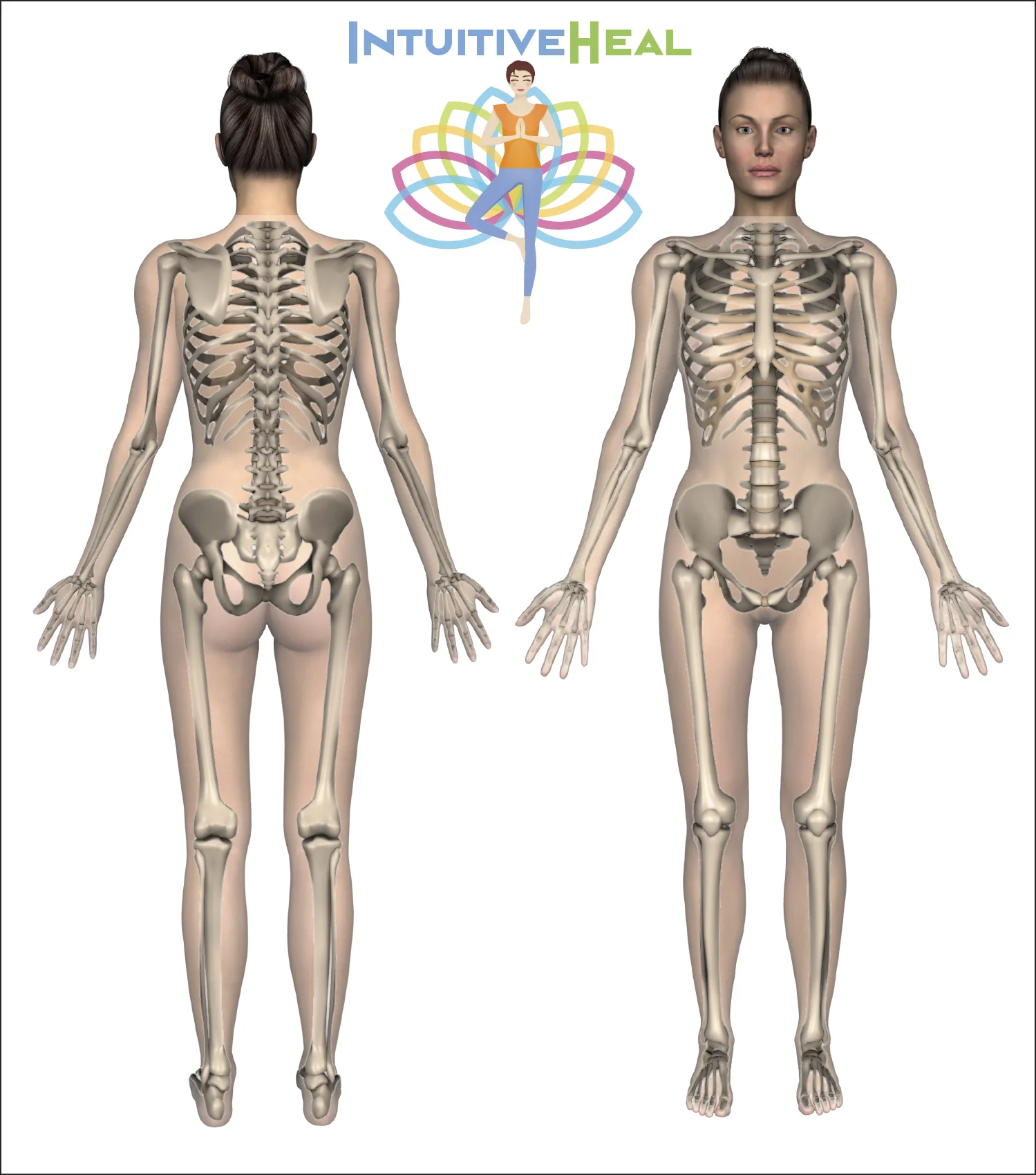 Body diagram – front and back views