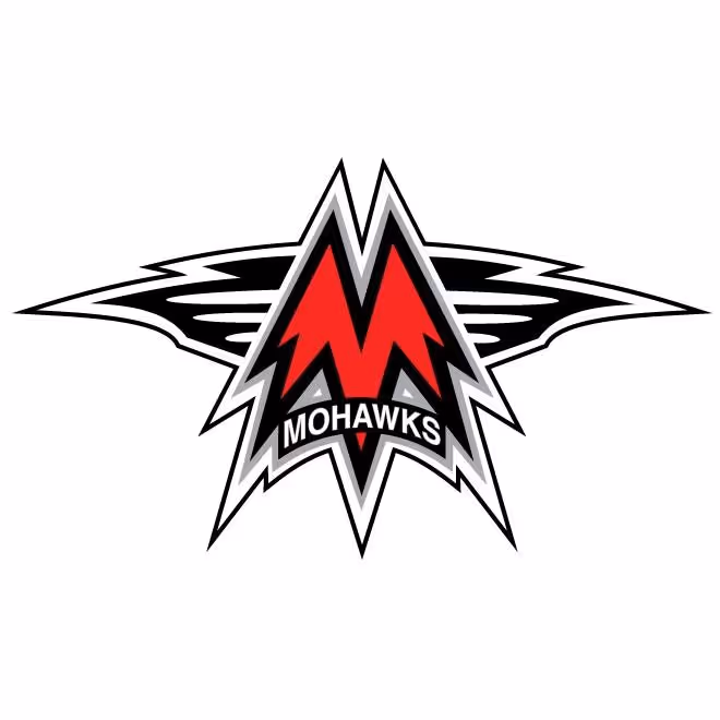 Link to Mason City Youth Hockey detail page