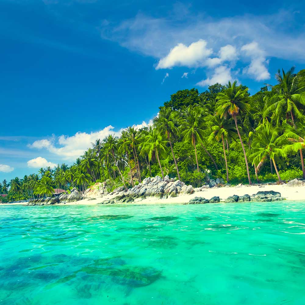 atelier viaggi elena capuzzi