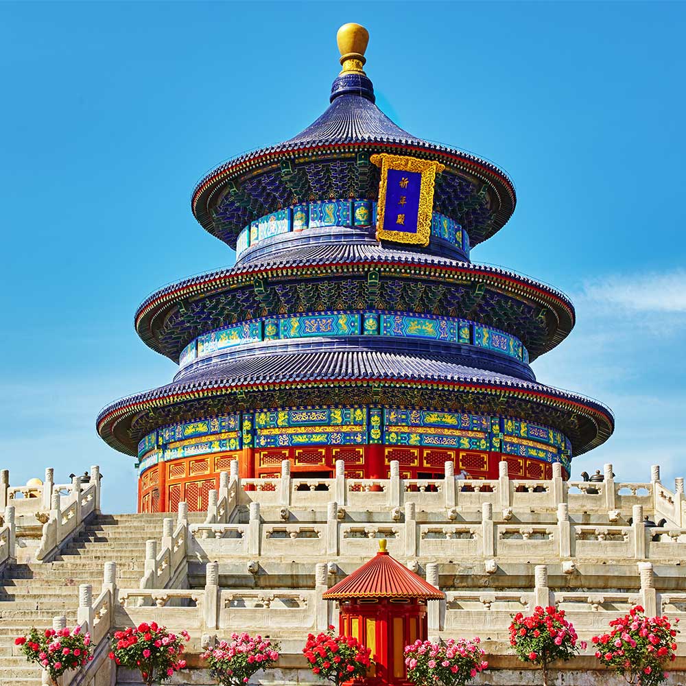 atelier viaggi elena capuzzi