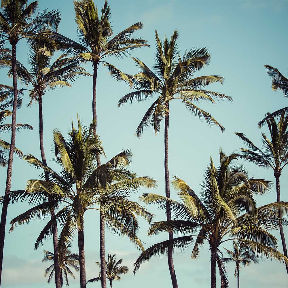 atelier viaggi elena capuzzi