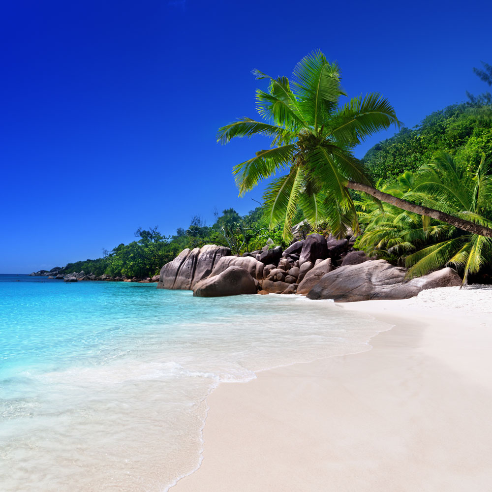 atelier viaggi elena capuzzi